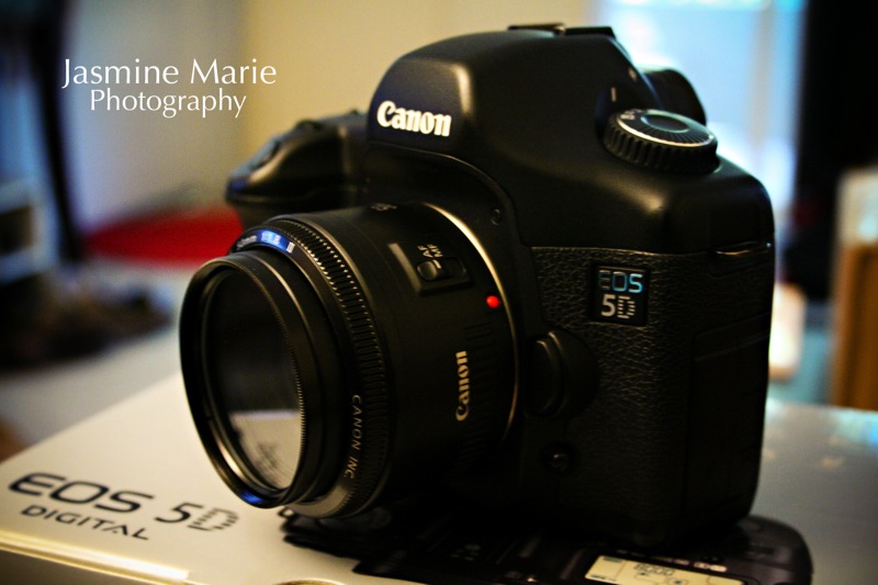 Canon5D03.jpg