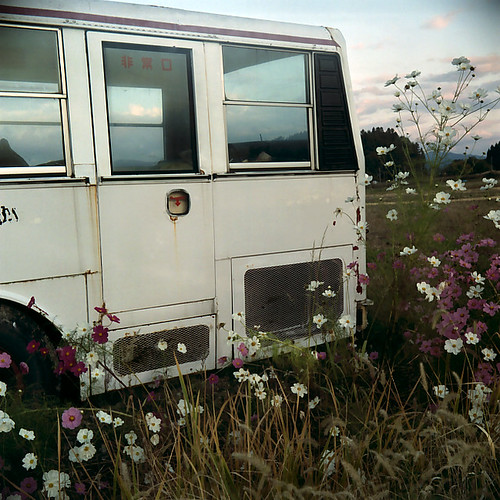 A junk bus with cosmos