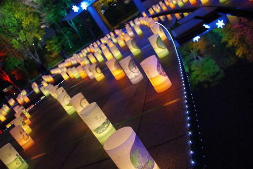 Ambient Candle Park 2008-09