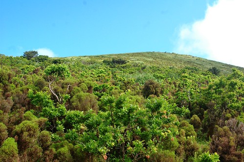 Defender o ambiente dos Açores
