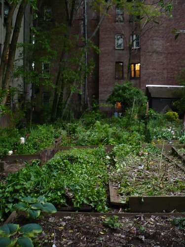 East Village community garden 