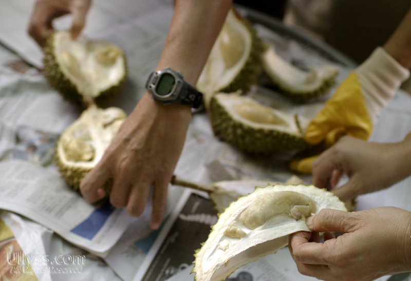 Durians Durians Durians