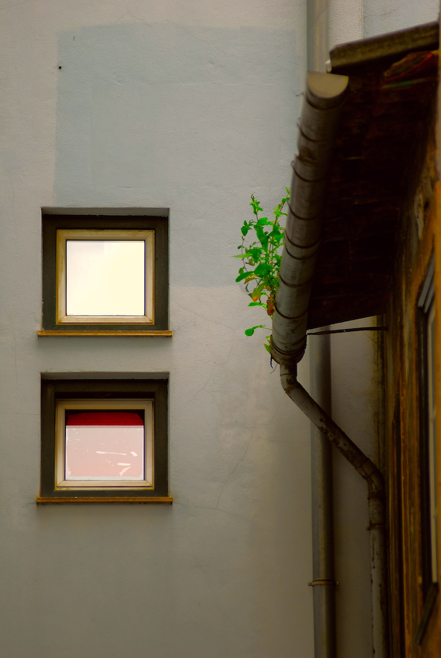 Small squared windows in Coimbra