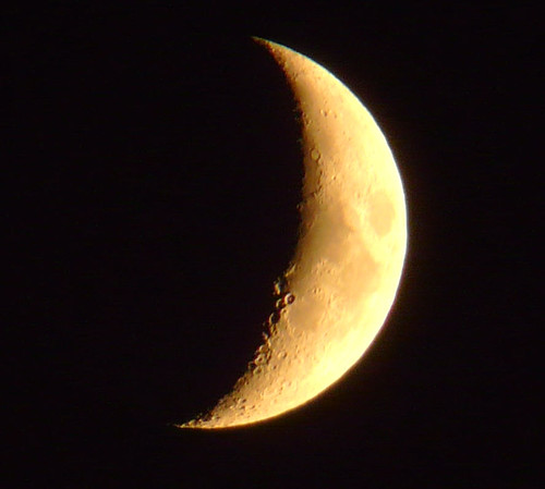 03Nov08 moon at 5pm