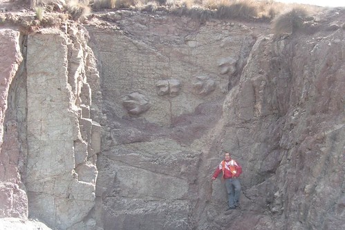 Peru: Huarmey (Ancash) - cretaceous rock