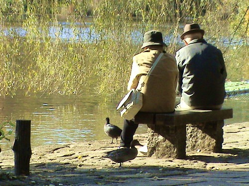 old couple feeding ducks