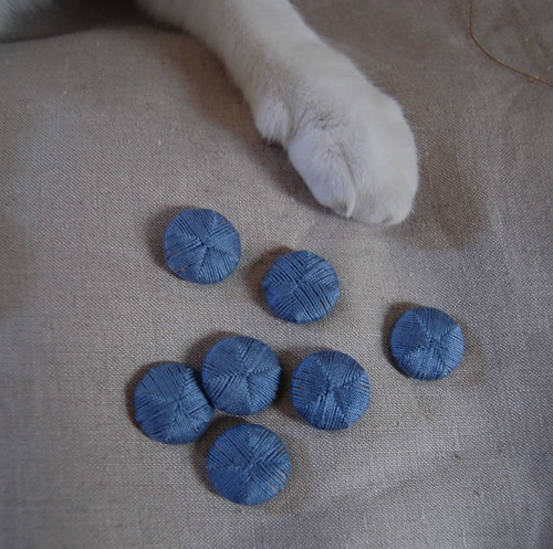 Death's Head Buttons, With Paw