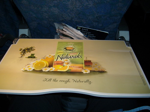 Advertising on Airplanes:  Taking Advantage of a Captive Audience?