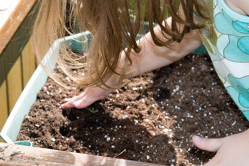 burying the seeds
