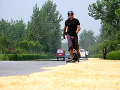 Skating next to drying rice on roadside near Huangchuang, Henan Province, China