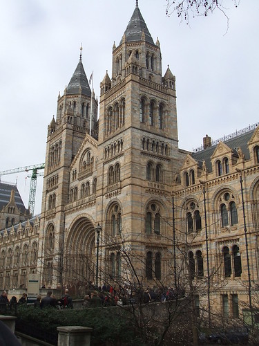 museum of natural history, london