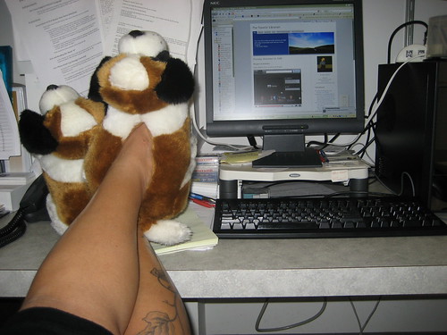 blogging in my slippers