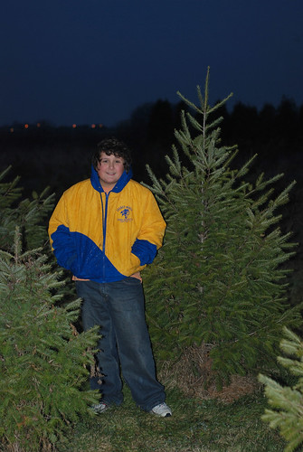 Wes wanted this tree by you.