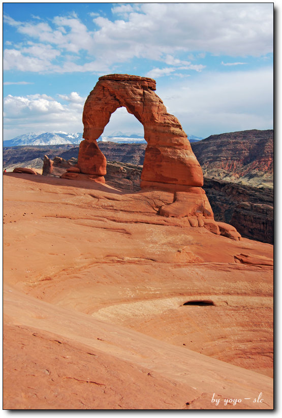 Delicated Arch