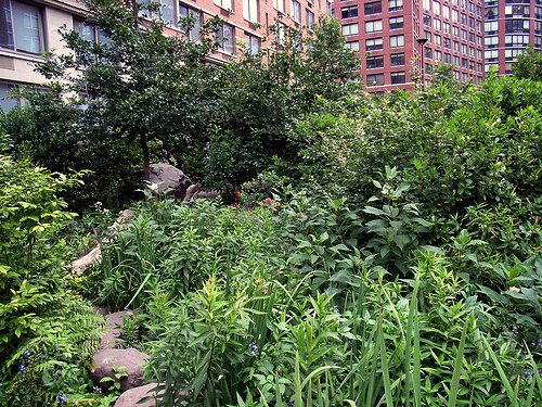 Teardrop Park, NYC (by: Payton Chung, creative commons license)