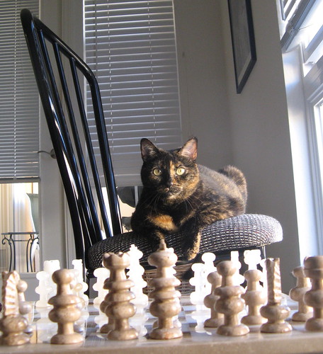Hildy: Chessmaster