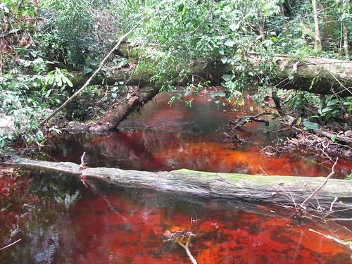 Some of the streams in Kailo run red