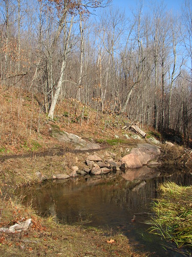 Small pond along the Wolf Trail
