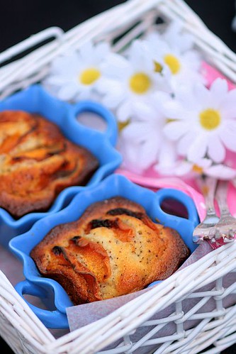 Apricot and Wattleseeds Tea Cakes
