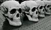 Skull (by VictoRevolution)