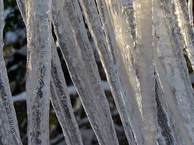 P1220382_icicle