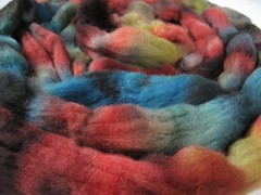 Multi-color domestic wool roving