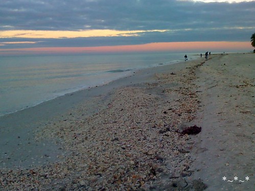 01-05-08_0725-Sanibel-beach-sea-shells-morning