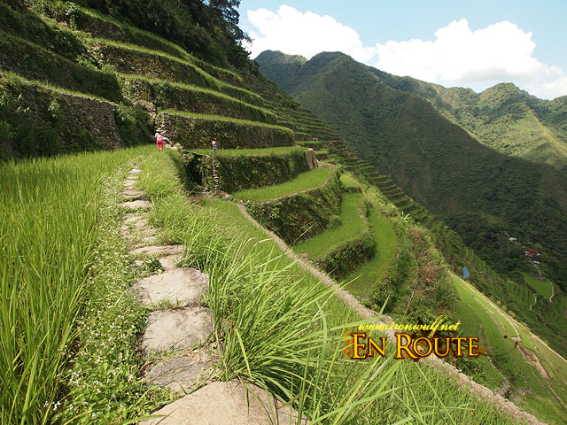 The vertigo inducing upper trail of the Batad Terraces