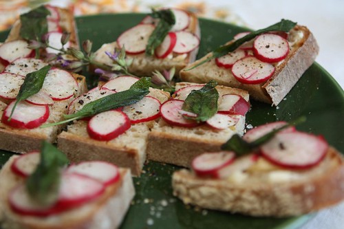 Radishes with Butter and Fried Sage Leaves on Bread
