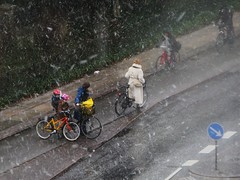 Winter Cyclists