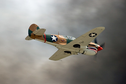 Warbird picture - P-40