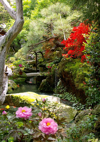 Jardín japonés en kioto