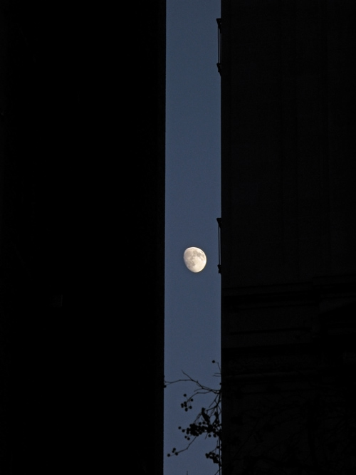 the moon between two Manhattan buildings, NYC