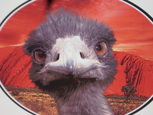 Emu Run Logo