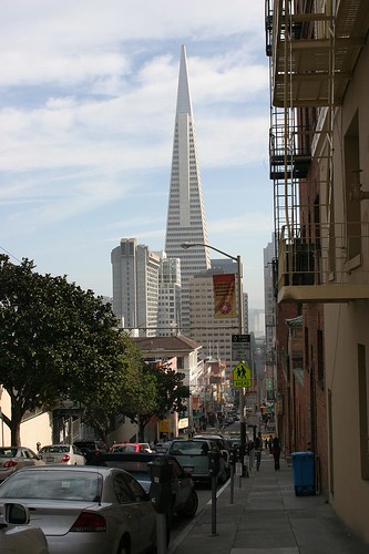 San Francisco Scenes