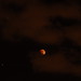 Lunar eclipse - 10