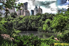Central Park by Magnus Nordstrom, on Flickr