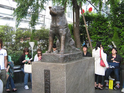 Hachiko Bronze Statue 1