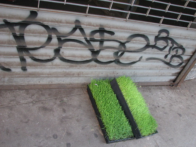 new york street arts