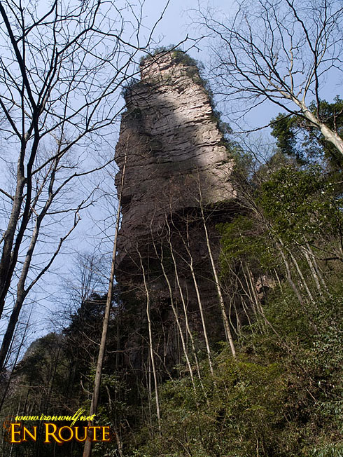 Wulingyuan Towering Sand Stone Pillar