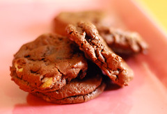 Chocolate Chocolate Chip Cookies.