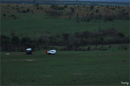 你拍攝的 5 Masai Mara - Balloon Safari。