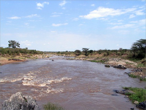 你拍攝的 67 Mara River。