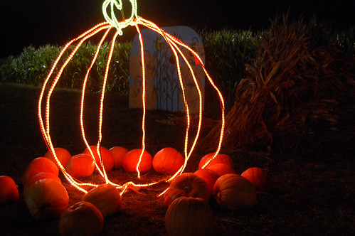 Halloween pumpkin up in lights