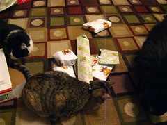Look at all these presents