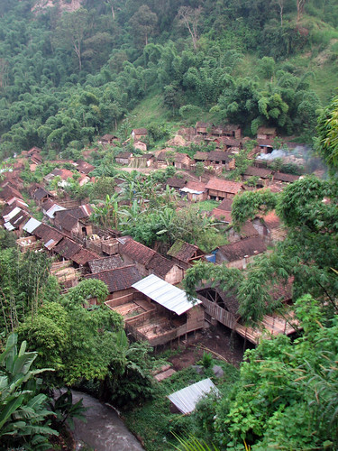 village plantation de café