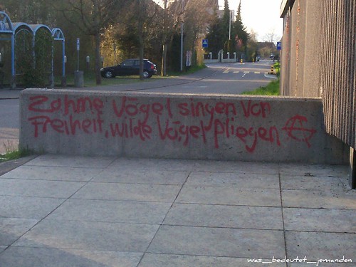 german graffiti: Zahme Vogel singen von Freiheit, vilde Vogel fliegen (then an anarchist symbol)