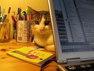 coding cat-egories