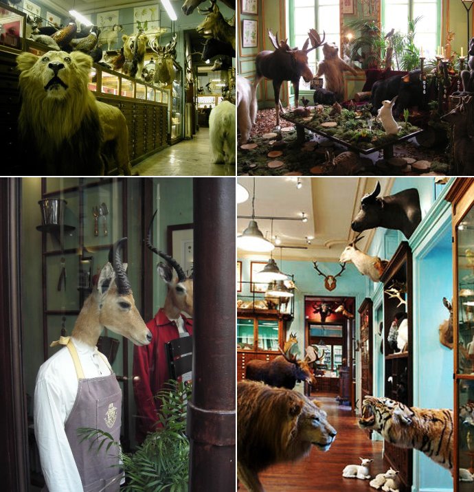 Creepiest Shop In Paris