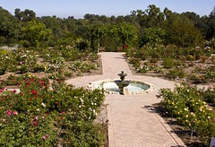 South Coast  Botanic Garden